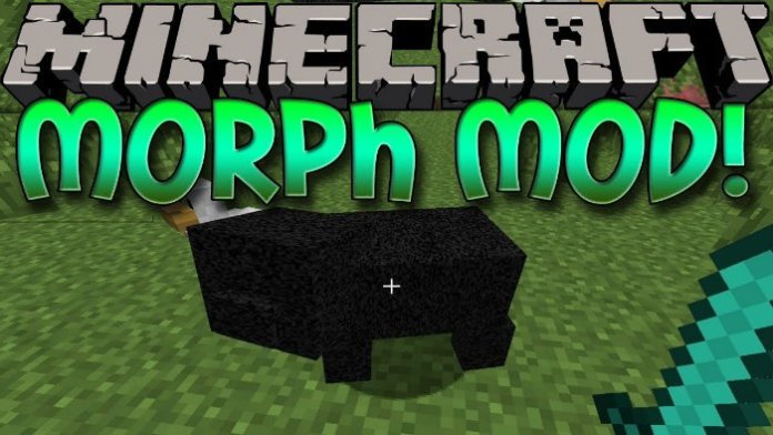 how to install morph mod